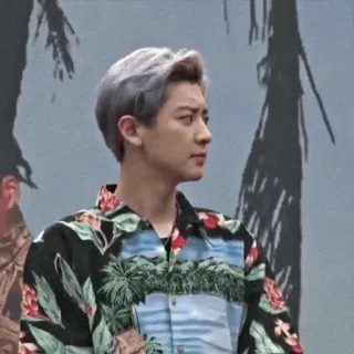 📐 88d01909 telegram sticker