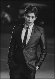 🌖 3d0fb258 Mann, Anzug, Krawatte, Festliche Kleidung, gutaussehend, Porträt telegram sticker