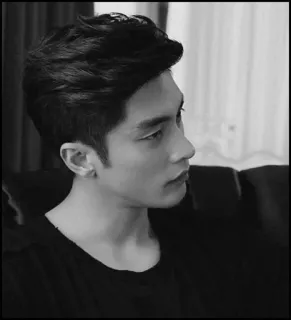 🌑 4e66139c Mann, Porträt, Schwarzweiß, Profil, Person, Männlich telegram sticker