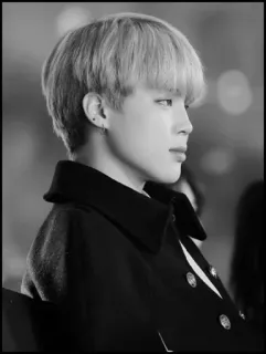 ➖ 8d98963d Jimin kpop, idol, park jimin, bts, zanger, beroemdheid, koreaans telegram sticker