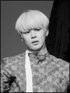 ➖ bd5fd6a3 telegram sticker