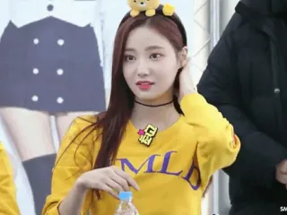 🥂 1f7cb2de MLD persona, donna, ragazza, abbigliamento, giallo, MLD telegram sticker