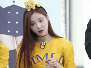 🌩 f8d53117 MMLG moda, abbigliamento, coreano, giallo, MMLG telegram sticker