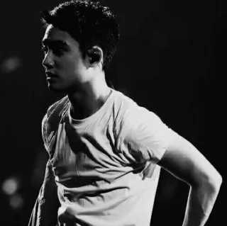 "DLN telegram stickers