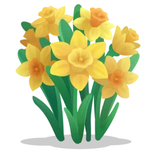 🌼 8c861ee1 水仙花, 花, 春天, 花束, 黄色, 自然, 花卉 telegram sticker