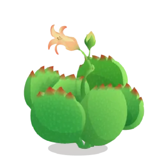 🐻 9e680833 植物, 仙人掌, 花, 多肉植物, 自然, 绿色 telegram sticker