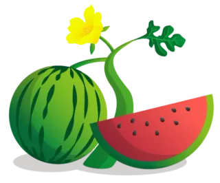 🍉 febb0fcf 西瓜, 水果, 食物, 自然, 植物, 夏天 telegram sticker