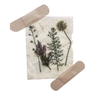 𝗙𝗼𝗿𝗲𝘃𝗲𝗿 𝘆𝗼𝘂𝗿𝘀 by @fStikBot whatsapp stickers