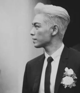 🏴 46429c45 homme, costume, cravate, portrait, mariage, tenue de cérémonie telegram sticker