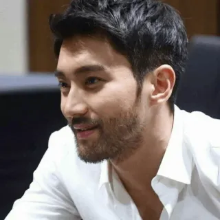 📿 31b34755 pria, potret, wajah, jenggot, tampan, orang, laki-laki telegram sticker