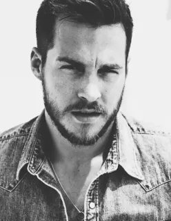 🌑 67cfbee4 man, portrait, black and white, denim shirt, Chris Wood, actor, bearded telegram sticker