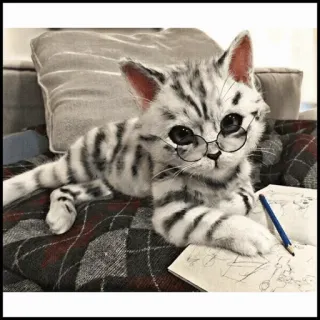 🐾 747ae932 kucing, anak kucing, kacamata, gambar, buku catatan, pensil, hewan peliharaan, lucu telegram sticker