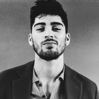 🌪 16d8dad9 Zayn Malik Зейн Малик, певец, знаменитость, портрет, мужчина telegram sticker