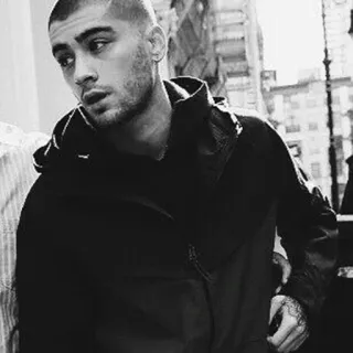 🌪 52a523bc Zayn Malik певец, знаменитость, портрет, модель, мужчина telegram sticker
