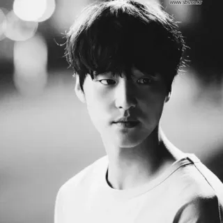 📎 3b5a3d73 whatsapp sticker