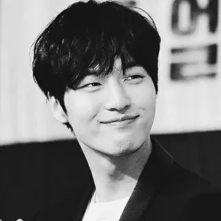 📎 53e56075 whatsapp sticker