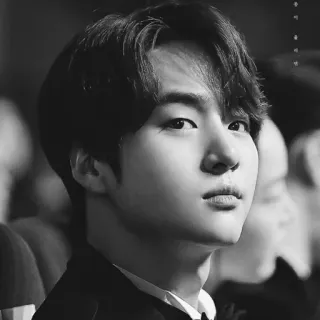 📎 8b09c5b4 chân dung, đàn ông, trắng đen, người, cận cảnh, khuôn mặt, nam giới whatsapp sticker