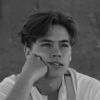 ⚖ 81266bdc Cole Sprouse acteur, portrait, homme, célébrité, noir et blanc telegram sticker