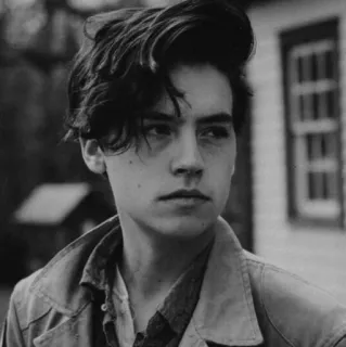 🌪 e45e54ad Cole Sprouse acteur, portrait, personne, noir et blanc, célébrité, homme telegram sticker