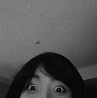 🕊 bb35baa8 telegram sticker