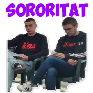 💜 fb816d65 SORORITAT sorority, students, young adults, group, friendship, university telegram sticker