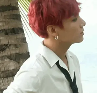 🕸 b0b29513 Jungkook K-Pop, BTS, Muziek, Koreaans, Zanger, Beroemdheid telegram sticker