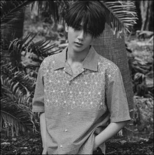 🕸 5e62f6a0 potret, hitam putih, pria, kemeja, alam telegram sticker