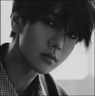 🕸 c35faa78 telegram sticker