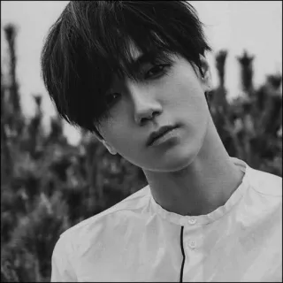 🕸 ca79a57c telegram sticker