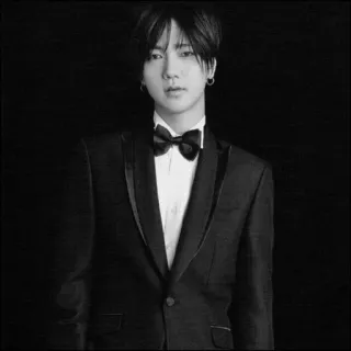 🕸 f814b72e pria, setelan jas, dasi kupu-kupu, formal, potret, hitam putih telegram sticker