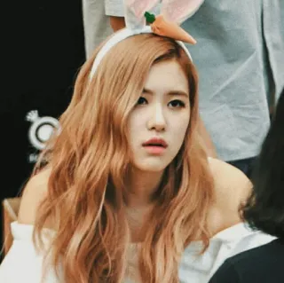 🌋 ef739101 Rose kpop, 장미, 토끼 귀, 아이돌, 가수, 사람, 여자 telegram sticker