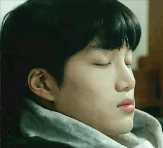 🍁 23934584 telegram sticker