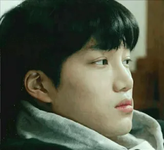 🍁 282499c6 telegram sticker