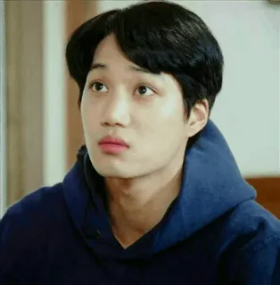 🌱 3f13b40c man, korean, celebrity, singer, portrait, exo, kai telegram sticker