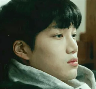 🍁 43433ea4 telegram sticker