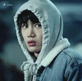 ✨ 496b2e89 ducky brain person, portrait, hoodie, clothing, casual telegram sticker