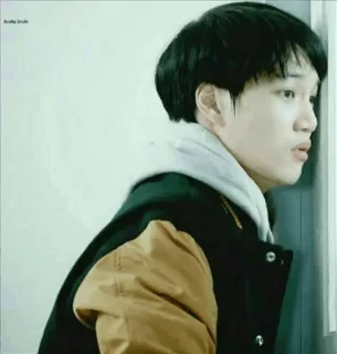 🍁 bae1c95c telegram sticker