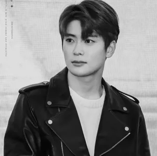 ▪️ 93d2225c Jaehyun kpop, musica, cantante, nct, nct127, idol, jaehyun whatsapp sticker