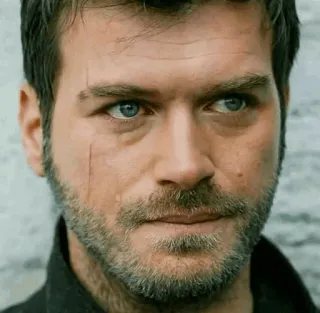 💱 2b62ec2c telegram sticker