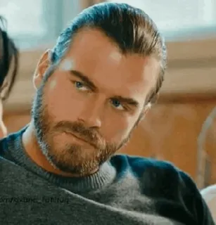 💱 37d9f5a4 telegram sticker