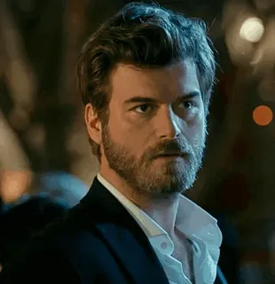 💱 8f0d663a мужчина, портрет, костюм, красивый, бородатый мужчина telegram sticker