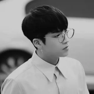 🇮🇸 0d1a9b21 person, male, glasses, man, portrait, black and white telegram sticker