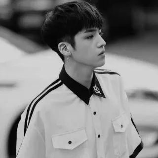 🇪🇪 8e954be5 person, black and white, portrait, man, earring, asian telegram sticker