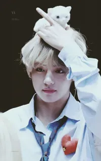 💸 dca26da8 osoba, kot, słodki, portret, styl, moda telegram sticker