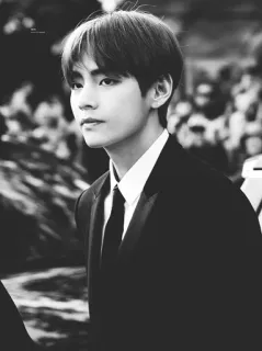 🥀 03d940a8 V v, bts, kpop, cantante, masculino, blanco y negro telegram sticker