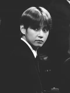 🥀 bf31b096 V K-pop, cantante, BTS, ídolo, coreano, hombre, persona telegram sticker