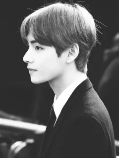 🥀 e41f67bc V kpop, bts, cantante, guapo, retrato, perfil telegram sticker