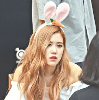 🕊 e9b8efdb róża, uszy królika, Kpop, kobieta, marchewka, idol, piosenkarz telegram sticker