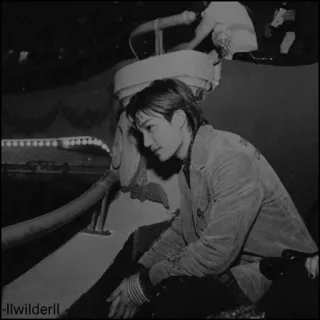 🕊 512524ca llwilderll whatsapp sticker