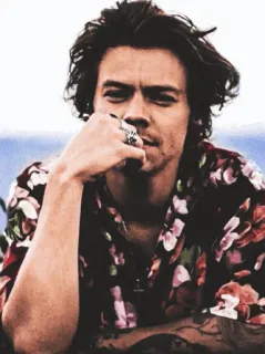 💴 025fb627 Harry Styles celebryta, piosenkarz, osoba, portret, mężczyzna, mężczyzna telegram sticker